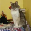 Отзыв от Анжелика Миронова